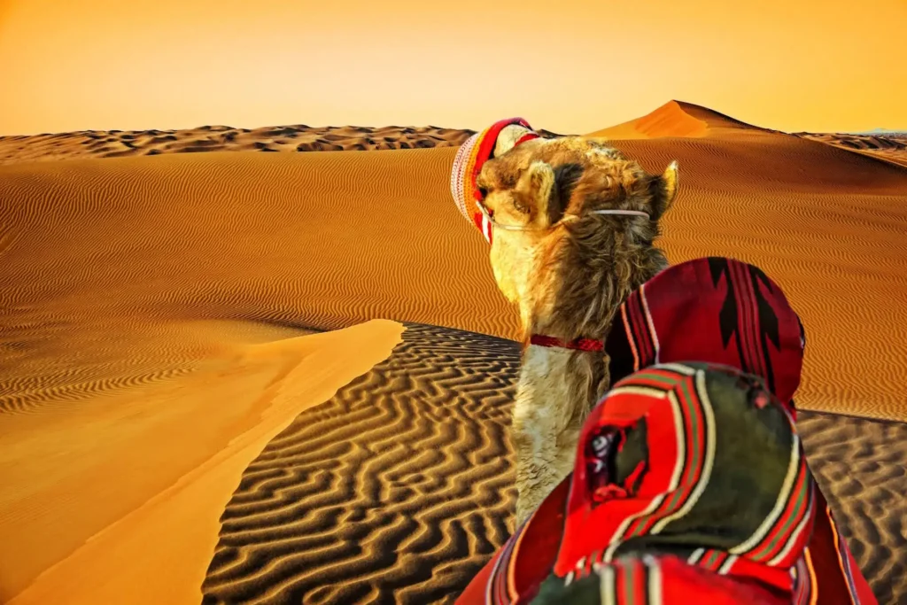 dubai-safari-desert